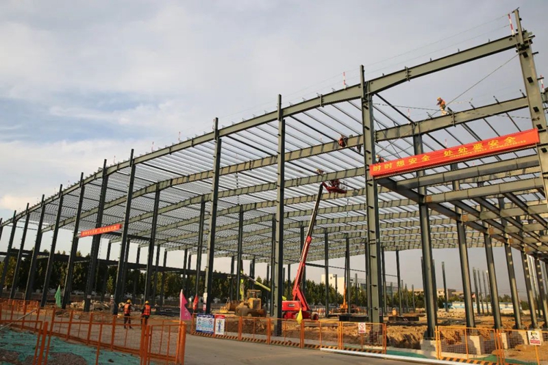 1664269160914811.jpg 7.jpg