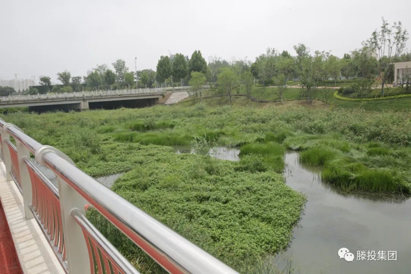 1690160898172073.jpg 9.jpg