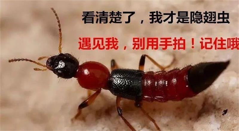 1695029391198759.jpg 6da17e26gy1hhy4tjum23j20ir0aat9m.jpg