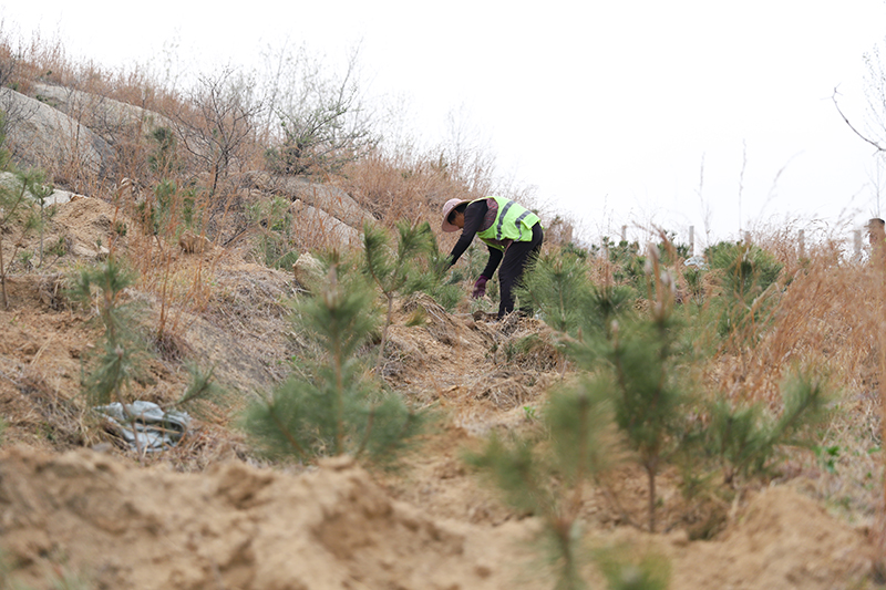 1712464743128621.jpg IMG_4777 拷贝.jpg